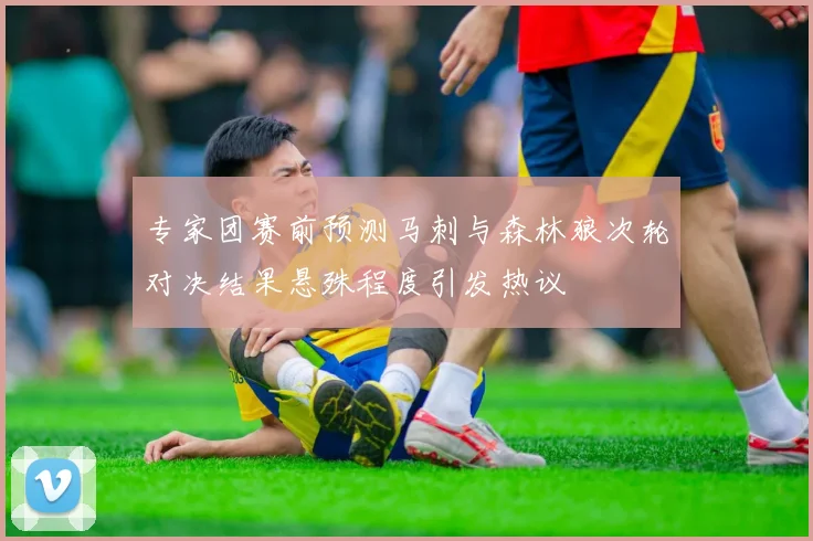 专家团赛前预测马刺与森林狼次轮对决结果悬殊程度引发热议