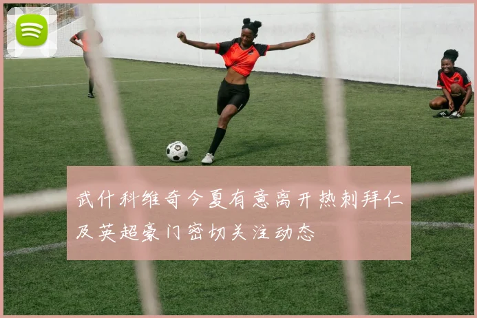 武什科维奇今夏有意离开热刺拜仁及英超豪门密切关注动态